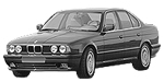BMW E34 P044C Fault Code